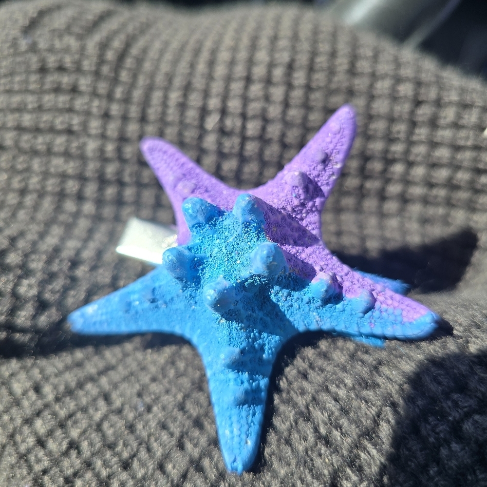 Starfish Hair Clip